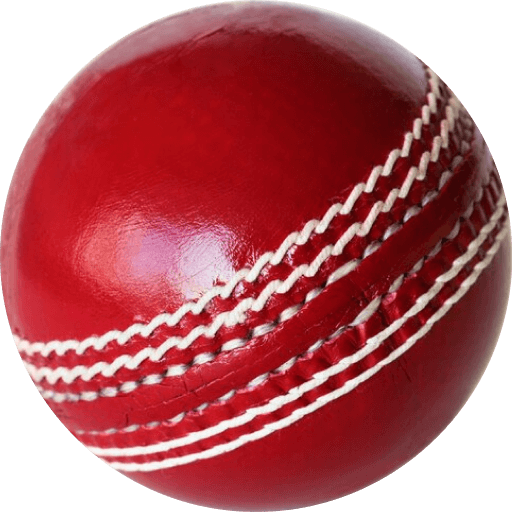 Cricket Leather Ball