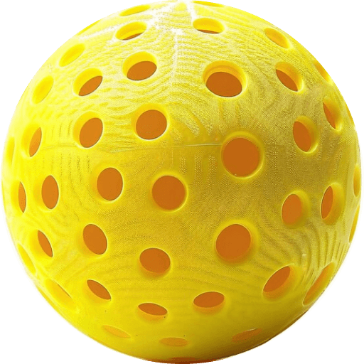 Pickleball Ball